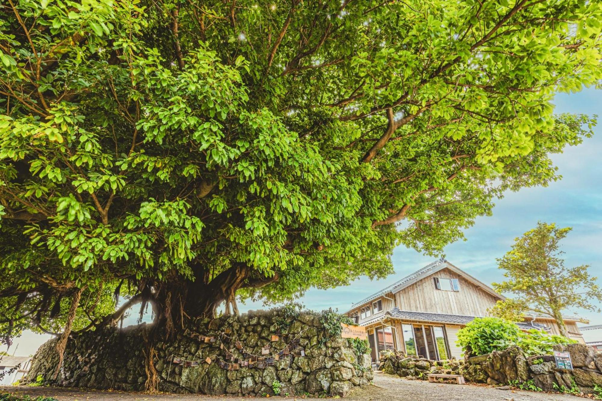 Ako House Hostel Goto Kültér fotó